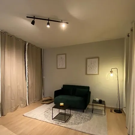 Lumineux T1, Terrasse De 15m2 Vue Mer-sanguinaires Ajaccio (Corsica)